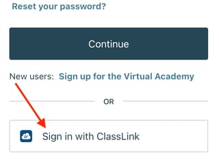 Screen Shot 2022-08-10 at 11.13.30 AM copy